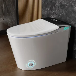 Smart Toilet with Bidet Built in, Warm Water and Dryer